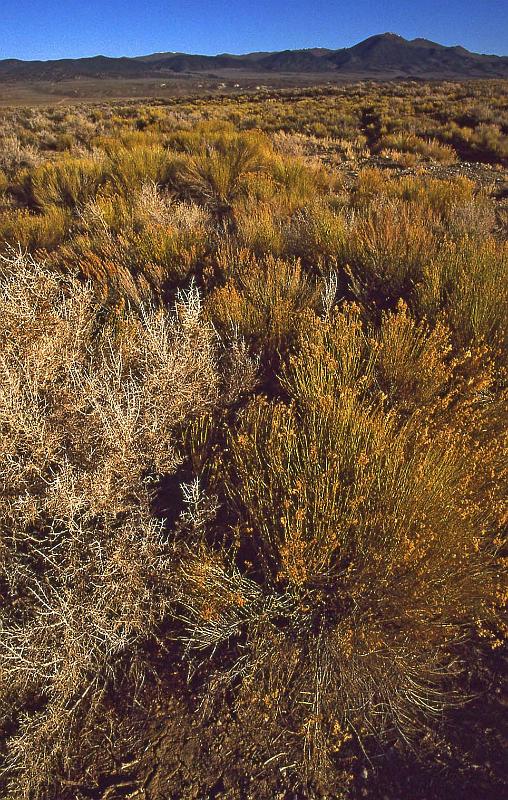 2001-04 Utah Trip 011.jpg